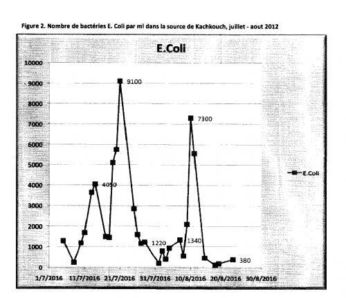 E.Coli Kachkouch