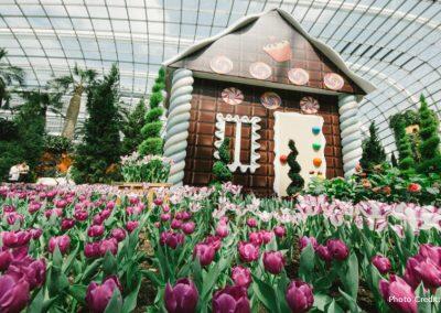 GBB_Tulipmania2016