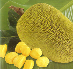 Bienfaits pour la santé du jackfruit