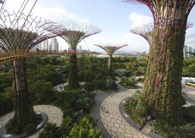 OCBC_Skyway,_Gardens_By_The_Bay,_Singapore_-_20140809 (1)