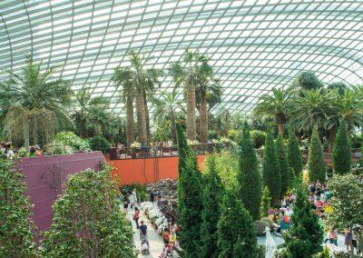 Inside the three-acre Flower Dome conservatory