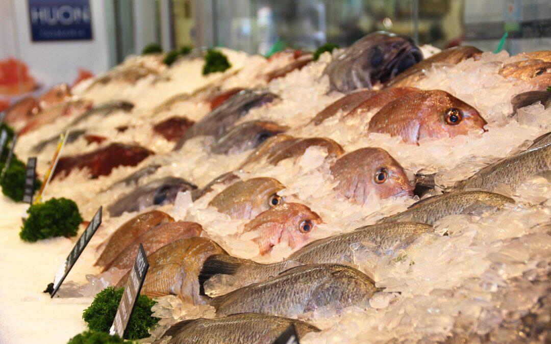 Spain Invests €250,000 in Fisheries, Aquaculture Market Promotion