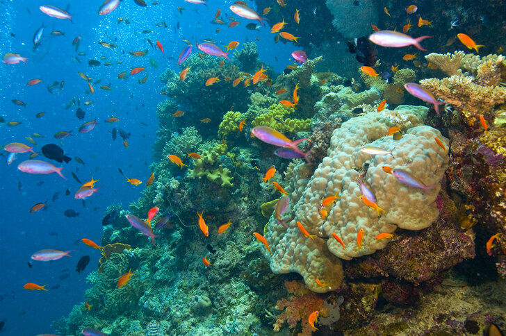 Reducing Great Barrier Reef pollution to cost ‘doable’ $8.2bn