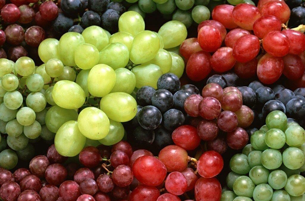 Benefits of Grapes