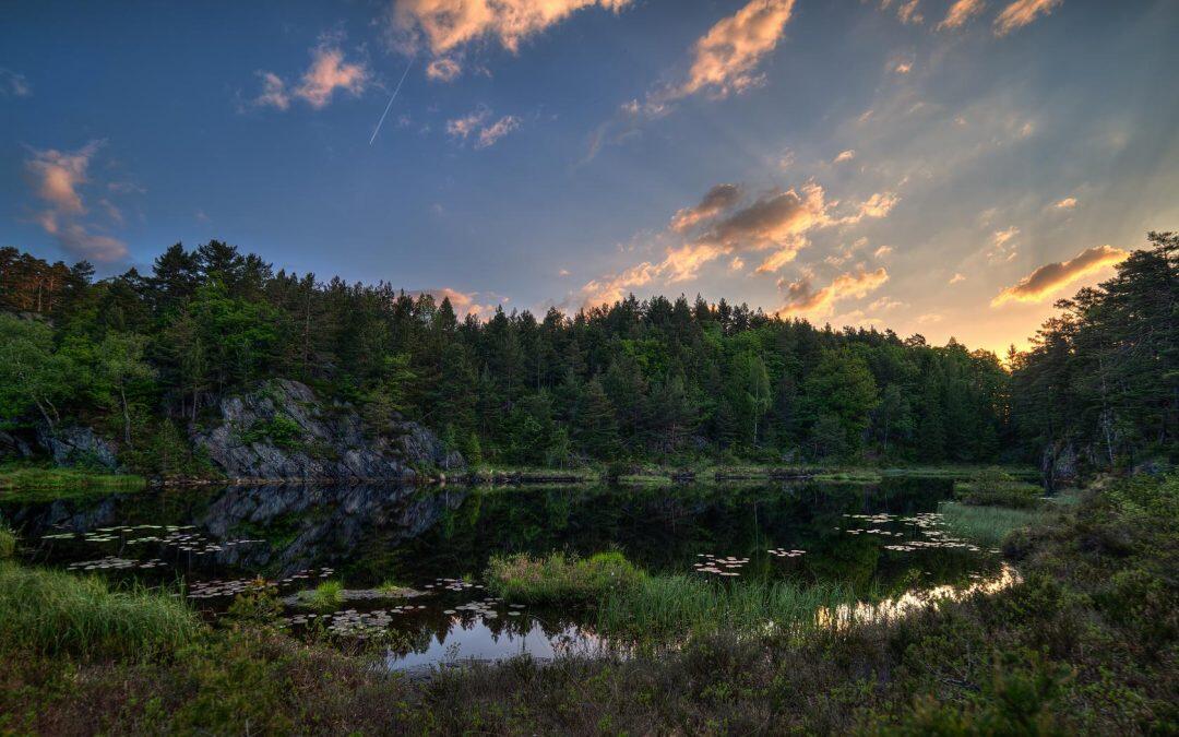 The First Country to Ban Deforestation