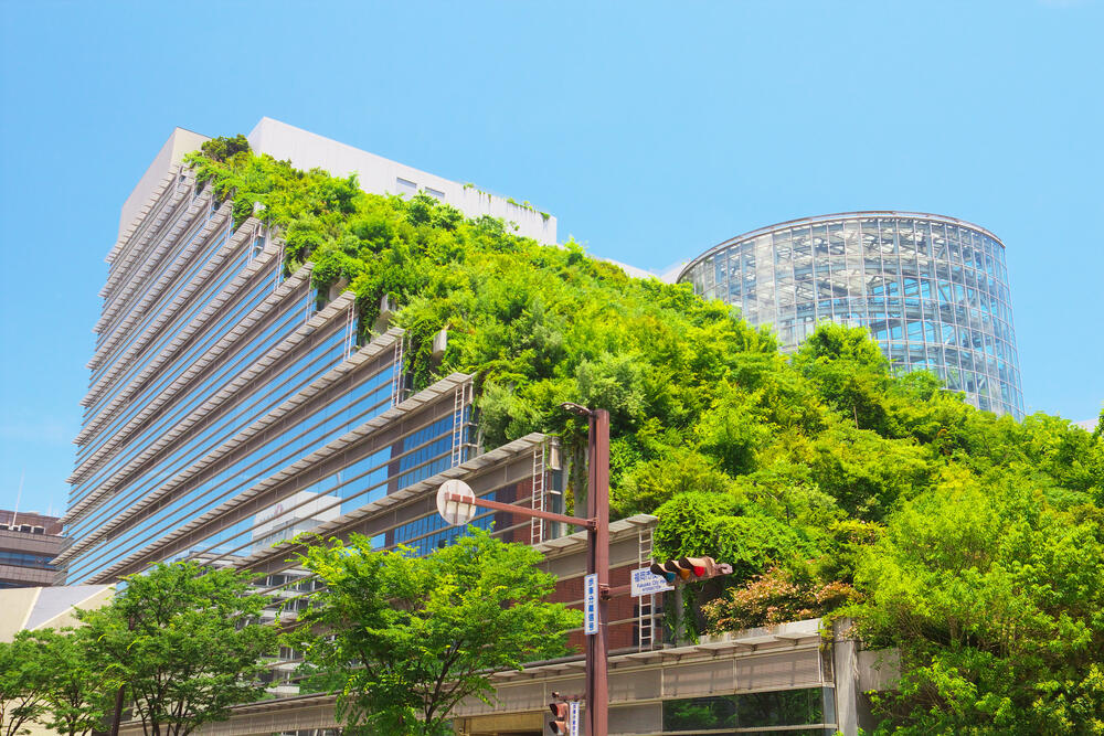 Green roofs to lower the temperature