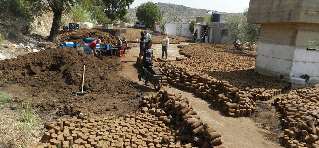 جفت الزيتون من نقمة إلى نعمة… صناعات متعددة ومردود مالي كبير