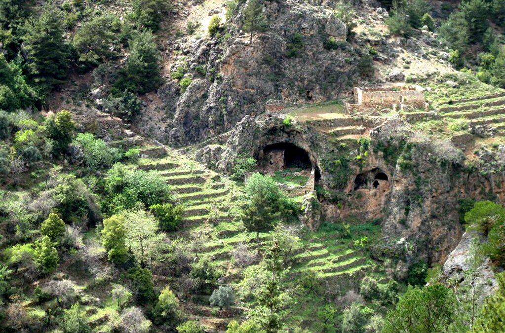 لبنان ليس في منأى عن تغير المناخ… وادي قايشا وأرز الرب مهددان!