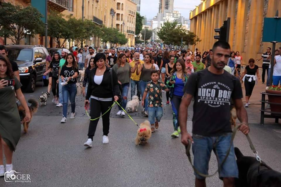 Why did a Dog walk in Beirut spark some animal lovers’ rage?