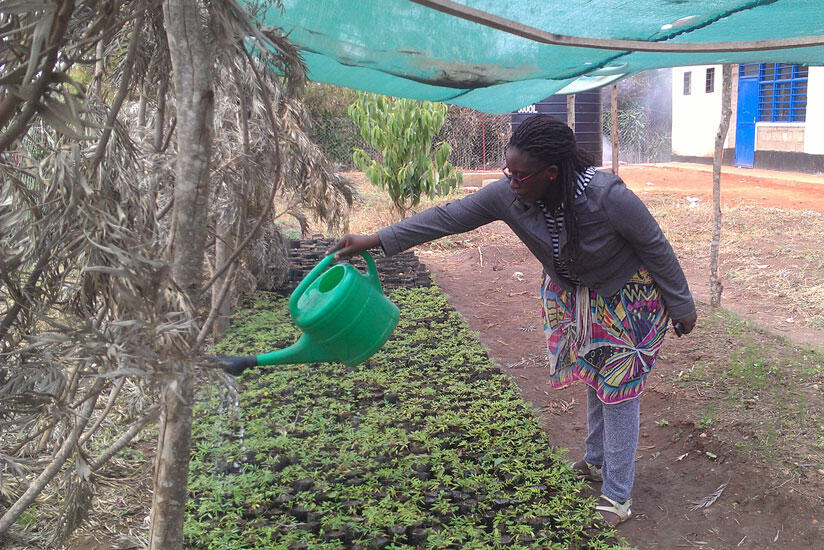 Schools, parents in joint drive to conserve the environment