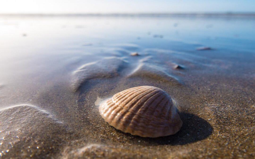 New technology for remotely mapping beaches