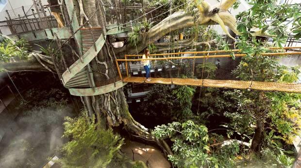 MORE THAN A MIRAGE: TROPICAL BIODOME OPENS IN DUBAI