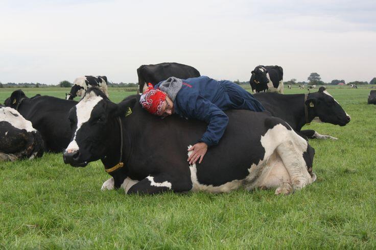 Bien-être animal: la science et la conscience