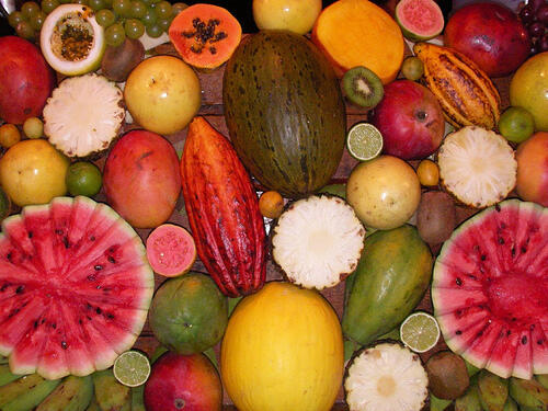 Peruvian fruits, vegetables drew attention of Italian importers