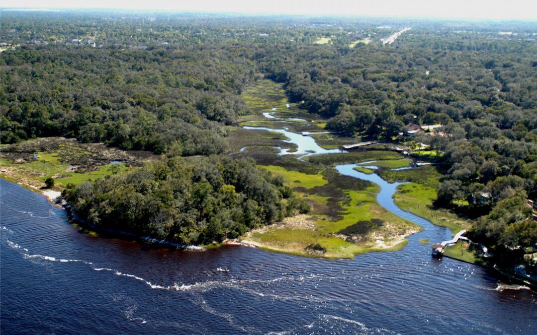 Ninth annual river report shows mixed results for St. Johns River’s health