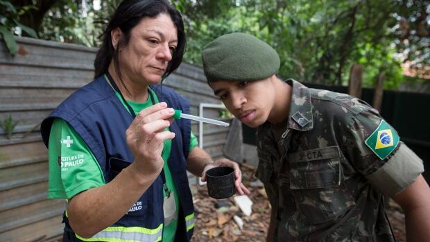 Brazil to begin Zika vaccine trials in humans