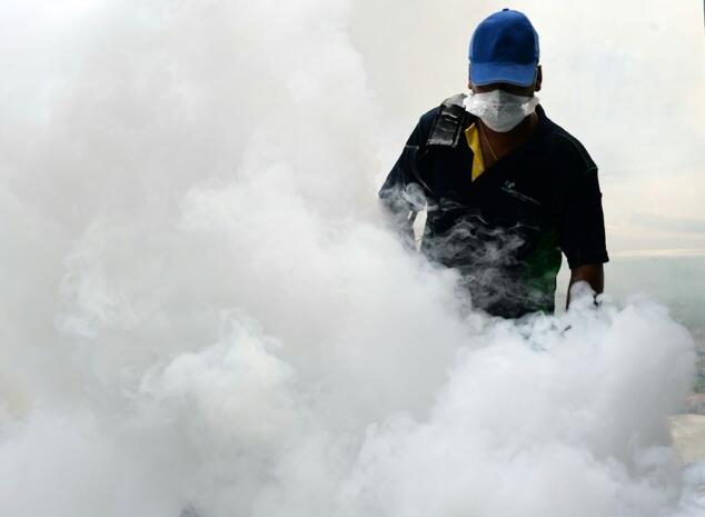 Malaysia reports first locally transmitted Zika case