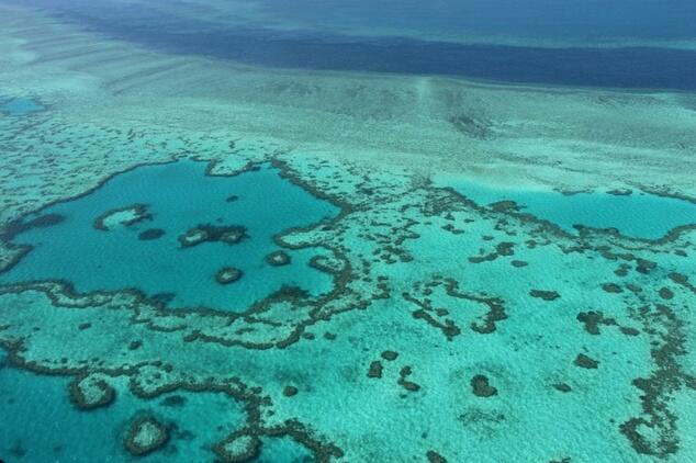 China ship owners pay up for Australia reef disaster