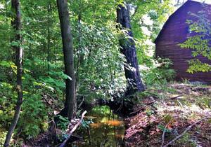 Chikaming Open Lands Barn Benefit to take place at site of new easement