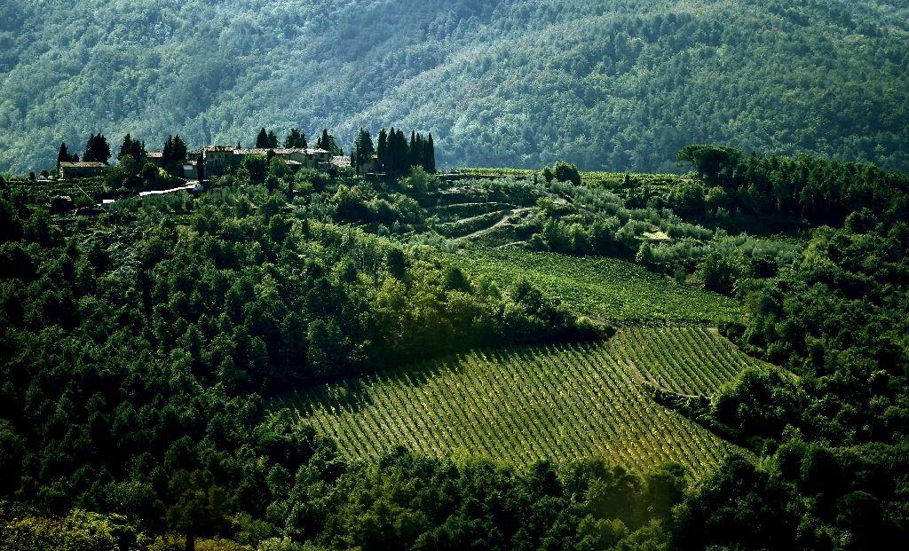 Chianti’s star still rising after 300 years