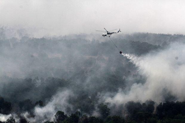 Southeast Asian haze crisis killed over 100,000