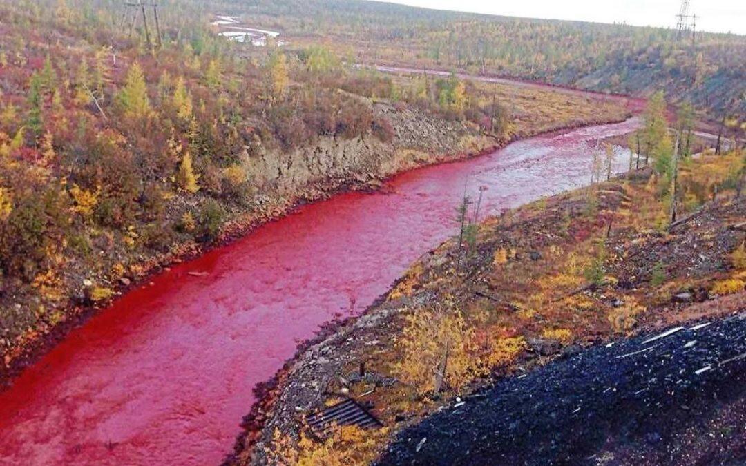 Greenpeace blames industrial accident after Russian river runs red