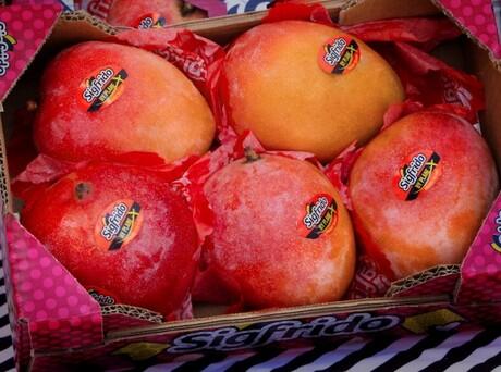 Exporter deals exclusively in ready-to-eat mangoes