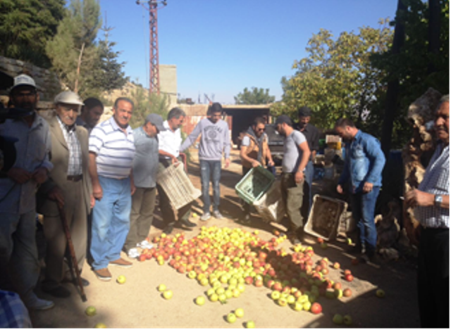 Lebanese Apple farmers protest failure to sell apple produce