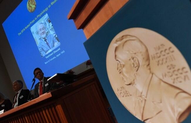 Japanese scientist wins 2016 Nobel medicine prize