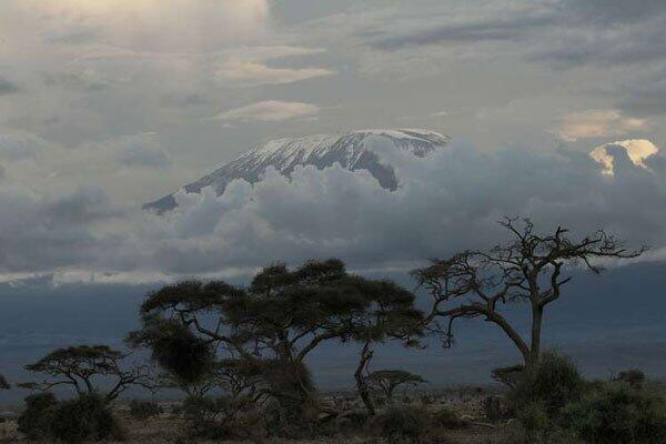 United Nations calls for reforesting of Kilimanjaro