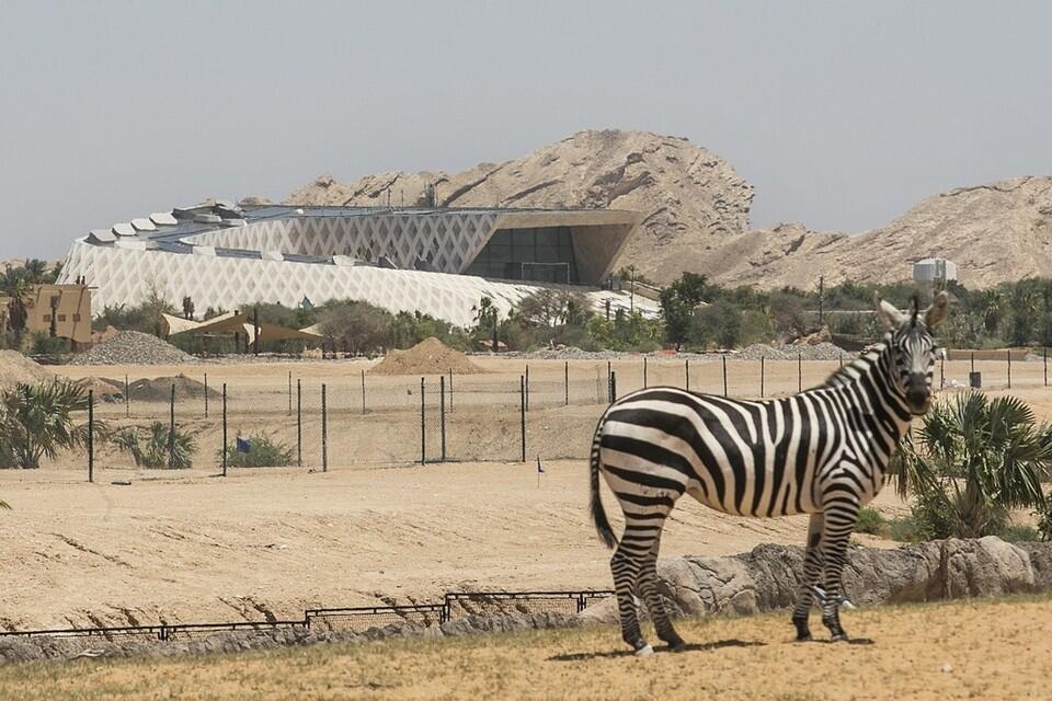 Sheikh Zayed Desert Learning Centre opens in Al Ain