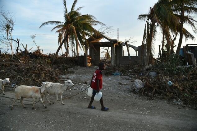 UN: Haiti tops list of disaster deaths