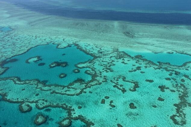 Barrier Reef report card paints bleak picture