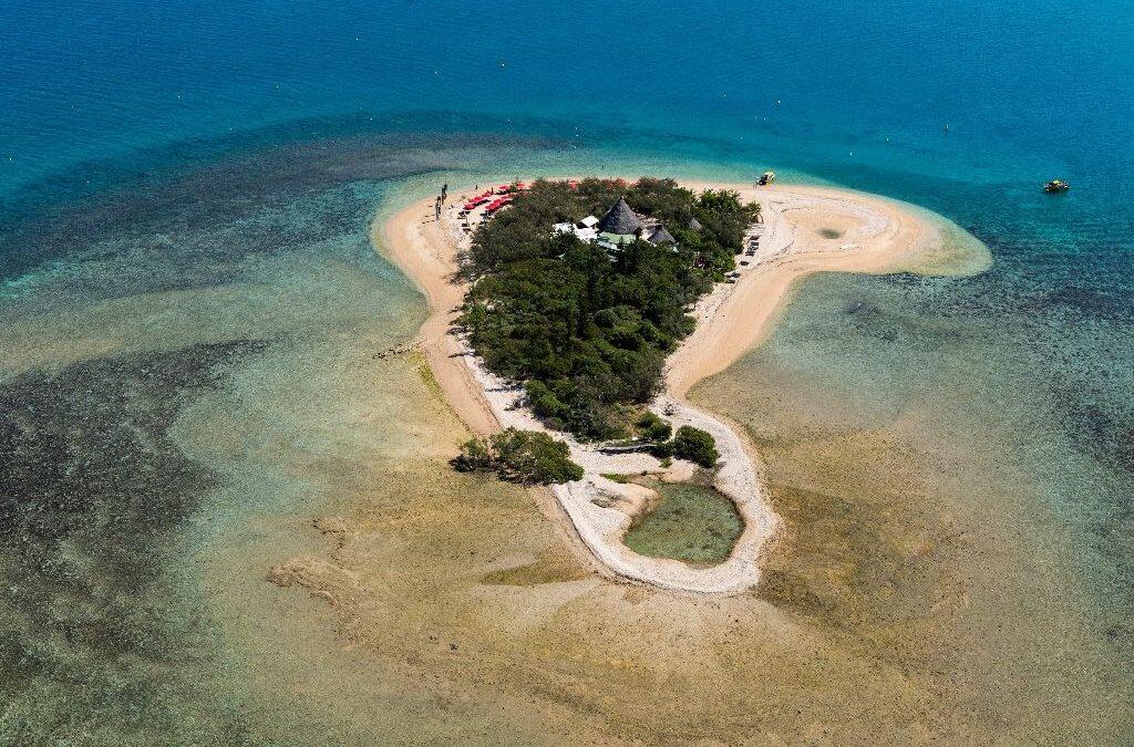 Scientists in New Caledonia hope for best after coral bleaching