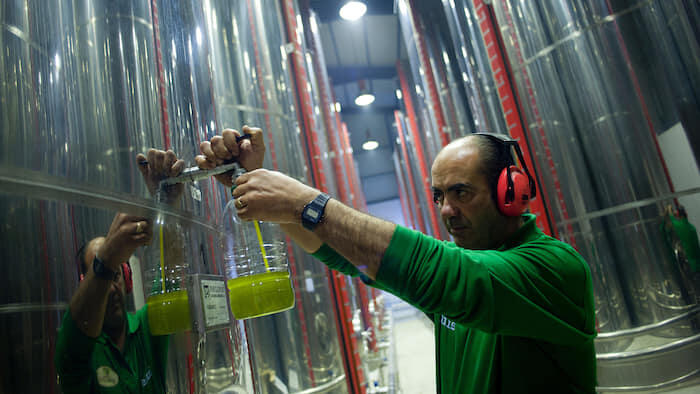 Olive oil prices set for pressing times