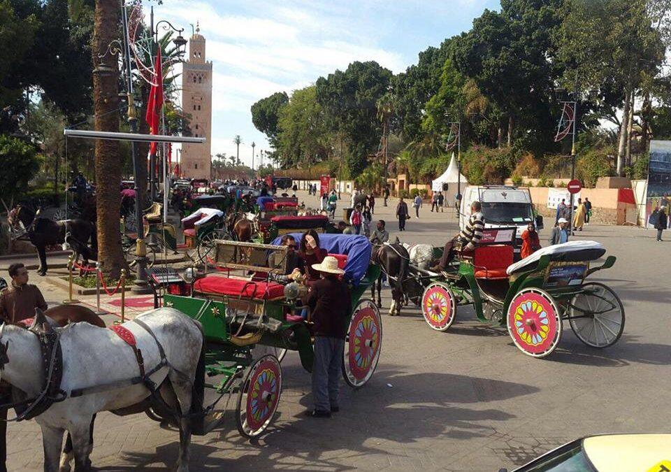 مراكش حاضنة كوب 22… مدينة نابضة بالحياة