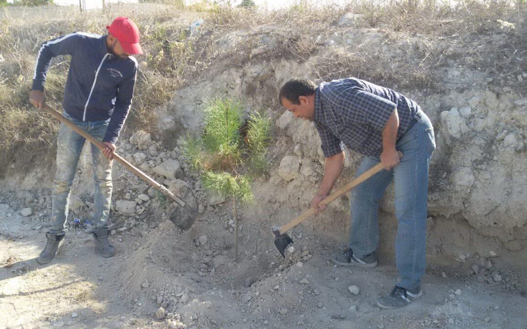 طيردبا ..محمية طبيعية في قلب الجنوب