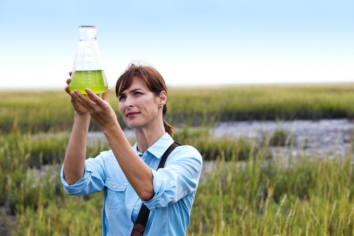 Scientist working in field