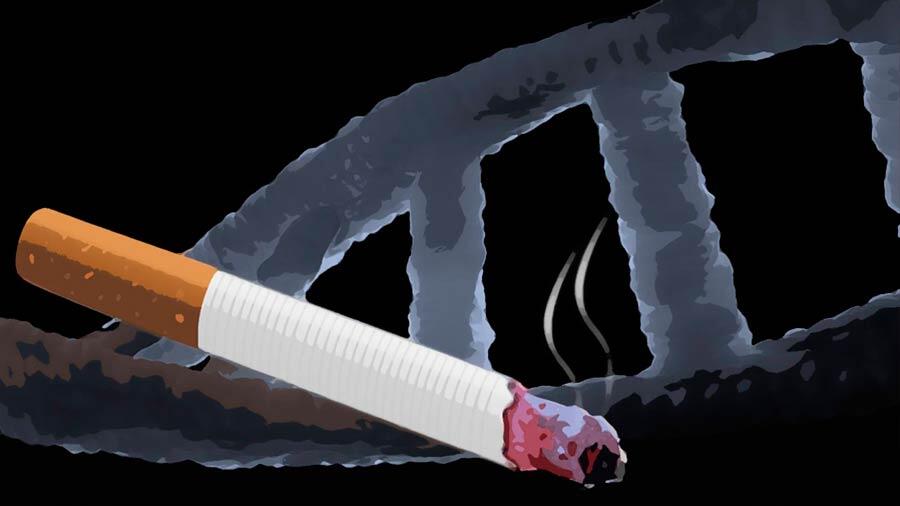 Así ataca el tabaco a nuestro ADN para provocar 17 tipos de cáncer