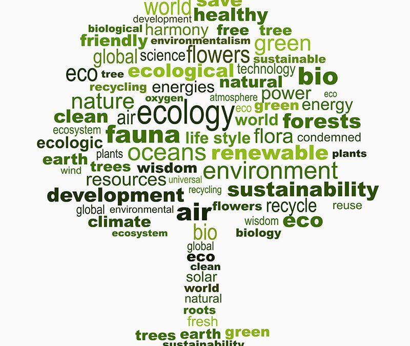 Comprender el cambio climático