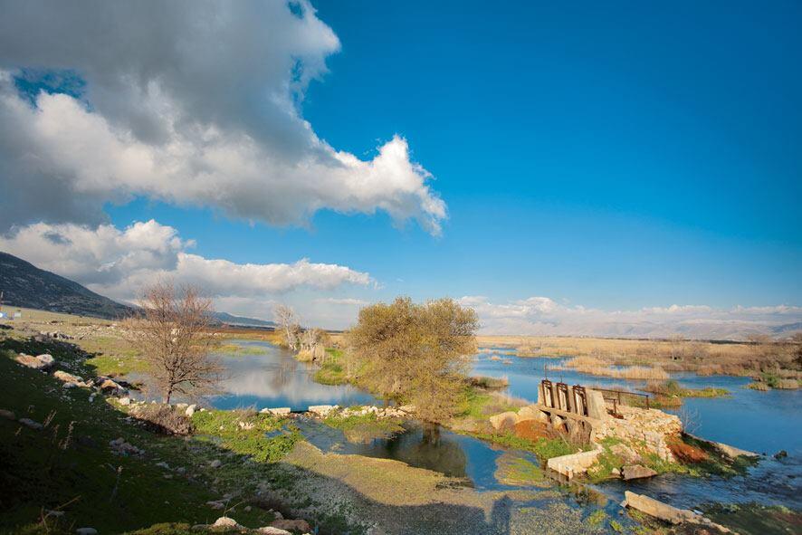 ذكرى اليوم الوطني للبيئة فارغة من المضمون  وgreenarea.me  وعد بأن “يعكس محبّته للوطن على محبته للبيئة فيه” ووفى  !