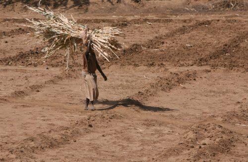 XSM016 LOKORI (KENIA) 14/9/2009.- Un mujer transporta un forraje seco en una granja que se quedó sin agua hace casi un año en las afueras de Lokori, norte de Kenia, el 11 de septiembre de 2009. Una devastadora sequía azota a Kenia poniendo en peligro la vida de los habitantes, el ganado, los animales salvajes y las cosechas. Las comunidades afectadas que viven en distritos como el de Turkana, en el extremo noreste de Kenia, viven prácticamente en la miseria y tribus rivales del norte de Kenia y de Uganda llevan a cabo a menudo redadas para disputarse el agua y el ganado, del que vive la mayoría de la población nómada que habita la región. Muchas personas llegan incluso a comprar armas para defender a muerte el puñado de cabras que posee y del que dependen para vivir. EFE/STEPHEN MORRISON