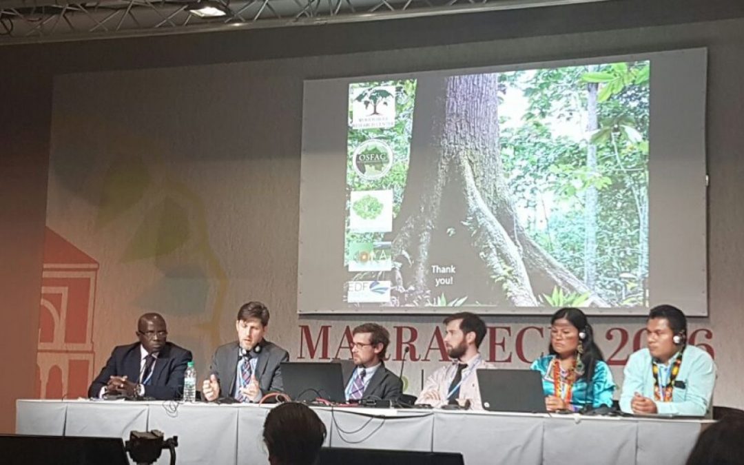 The fight against deforestation is at the focal point of a side event meeting on Day 3 of COP22