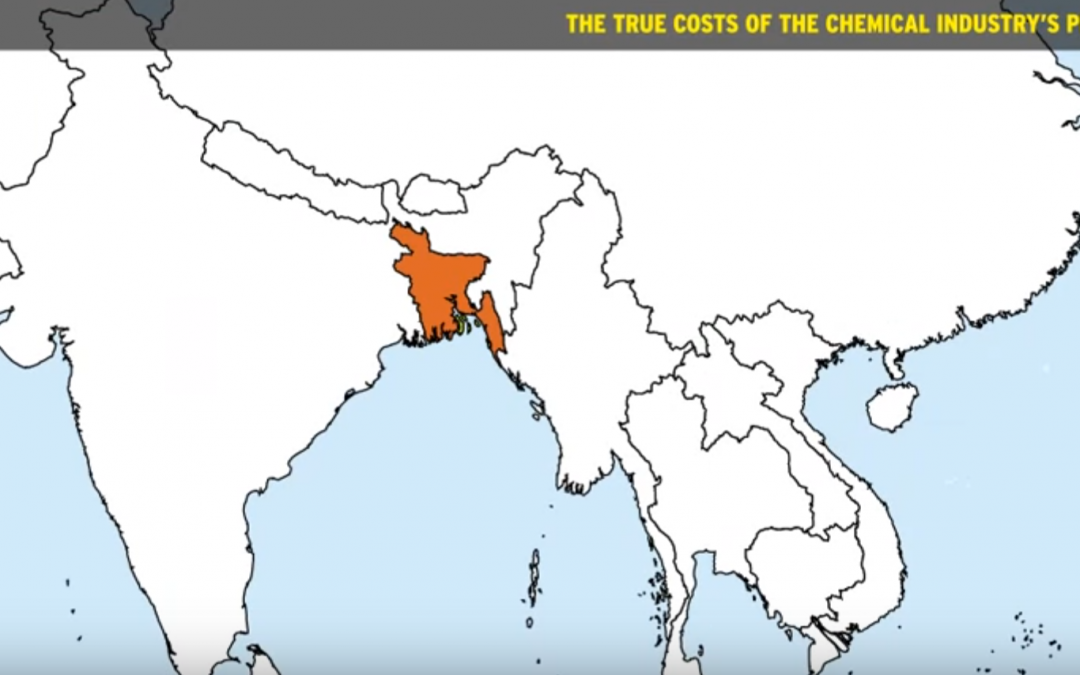 The True Costs of the Chemical Industry’s Products