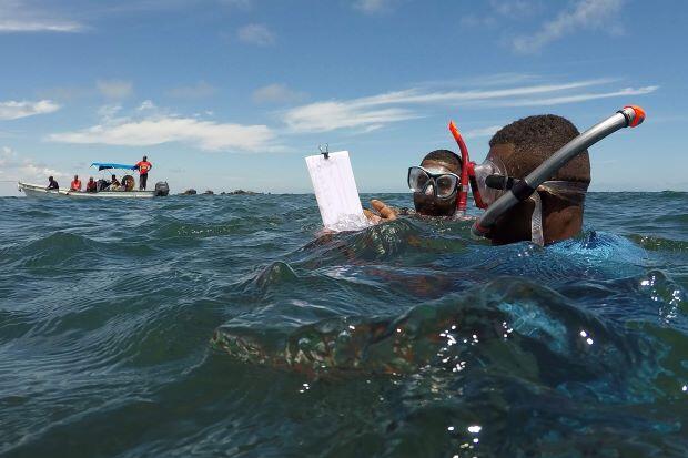 As oceans empty, Kenya fishermen must adapt or disappear