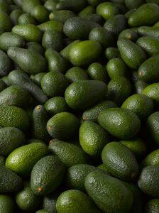 Spanish avocado season off to sluggish start in Europe