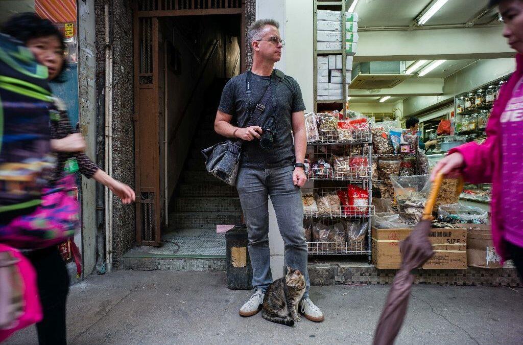 Hong Kong’s feline friends offer insight into city’s past