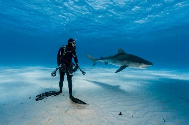 National Geographic selecciona sus fotografías más increíbles de este año