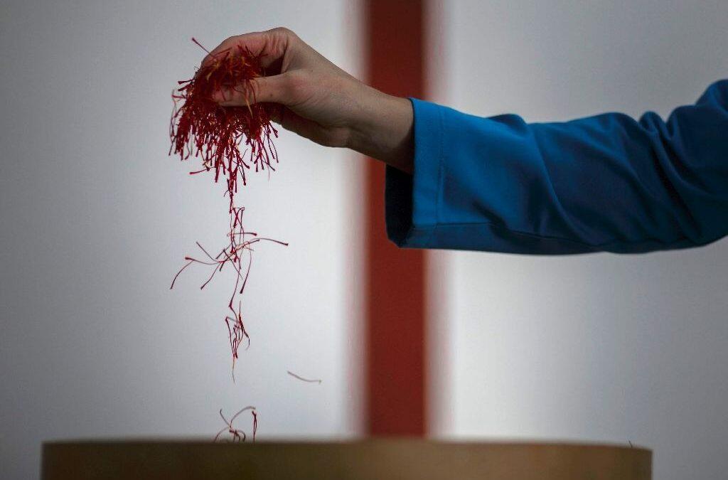 Saffron, rural Spain’s crisis-beating spice