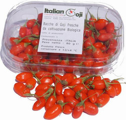 Castelli Romani is the land of Italian Goji berries